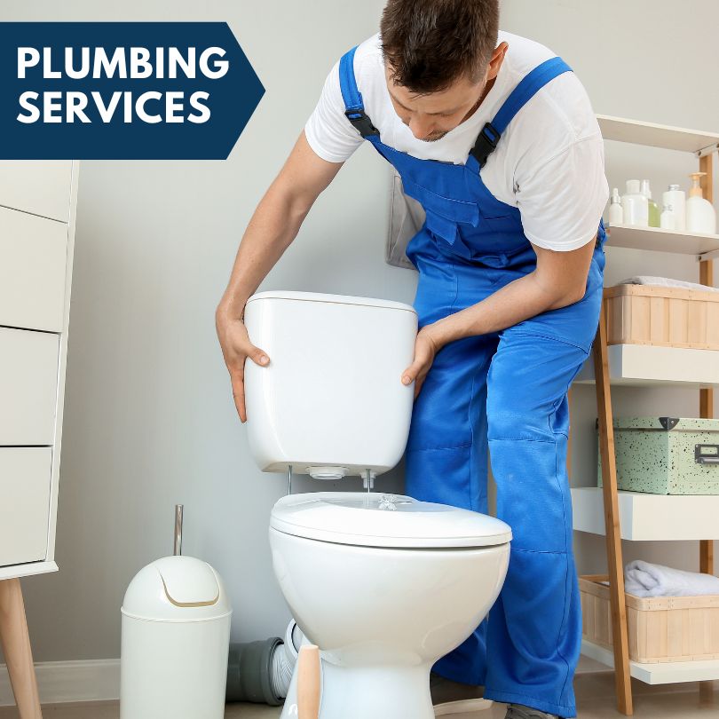 Plumbing Company in Ellenton, GA